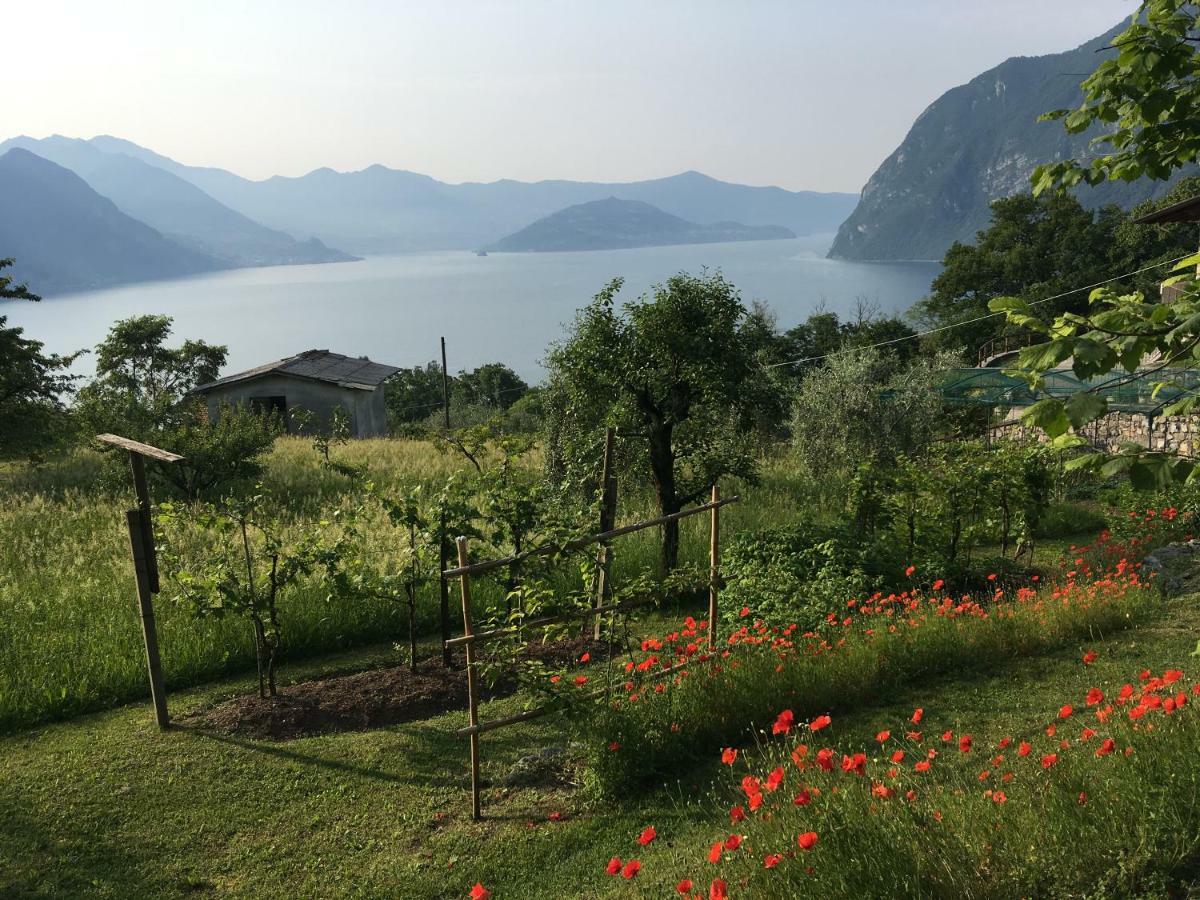 Apartament Irina'S House With View On Like And Swimming Pool Riva di Solto Zewnętrze zdjęcie
